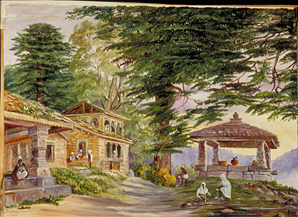 cedus-deodara-in-kumaon-himalayas-painting-at-london-kew-gardens.jpg
