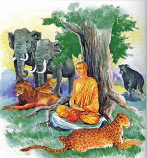 buddha with animals