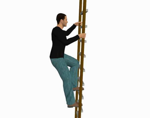 ladderVocational-